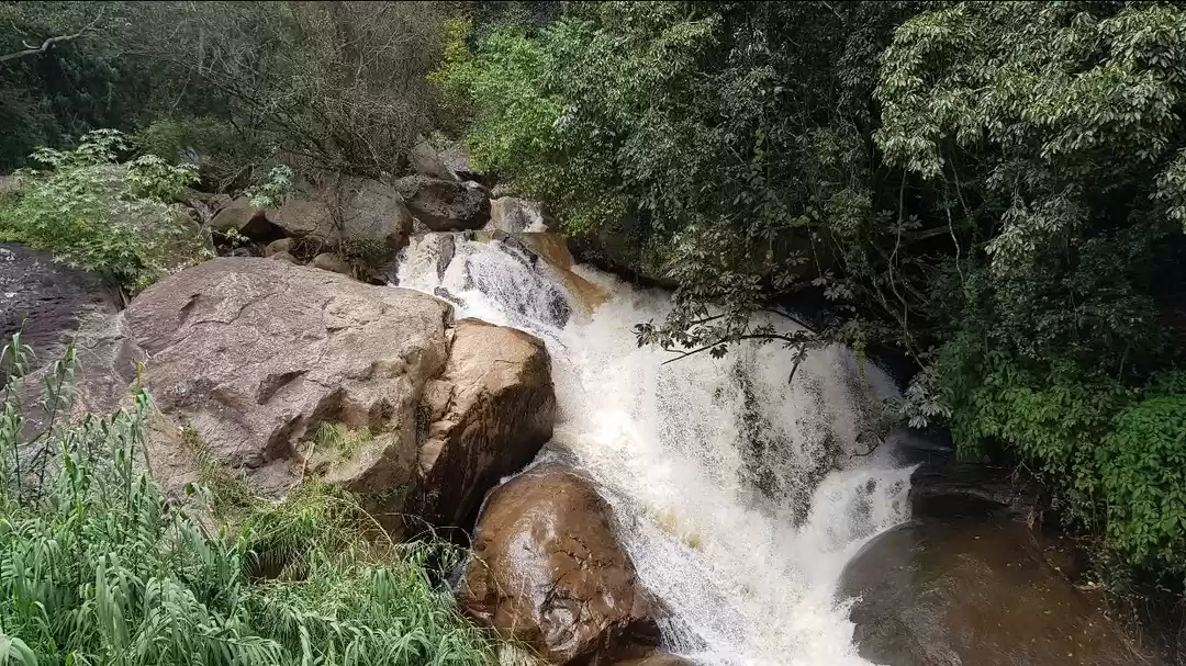 Photo of Trip to Udagamandala