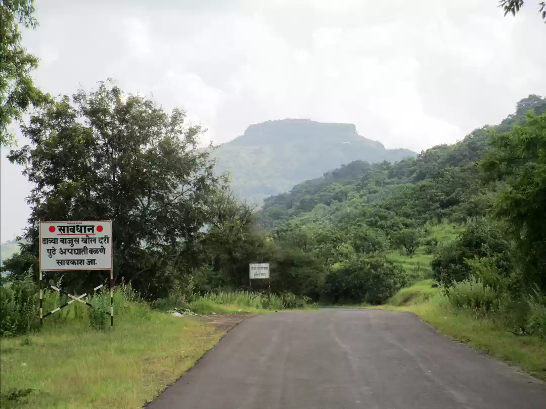 Photo of The Village of Books