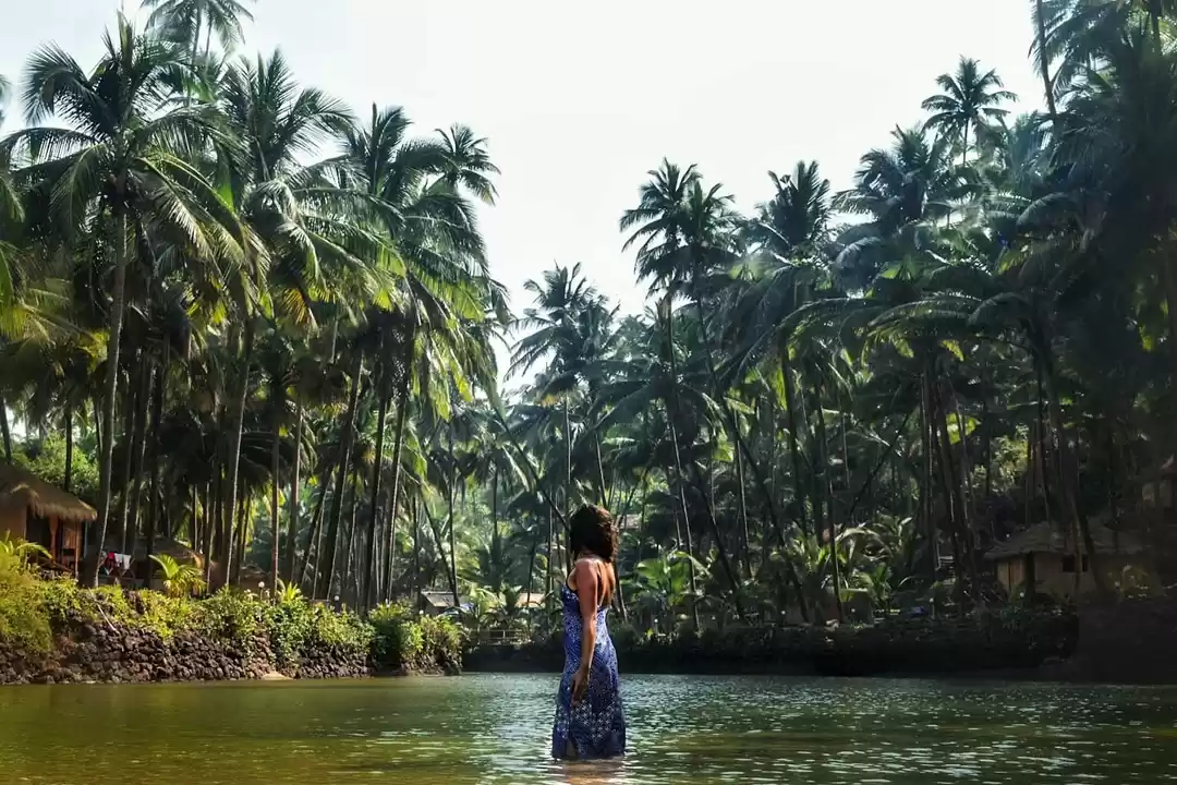 Photo of Weekend at Cola, Goa