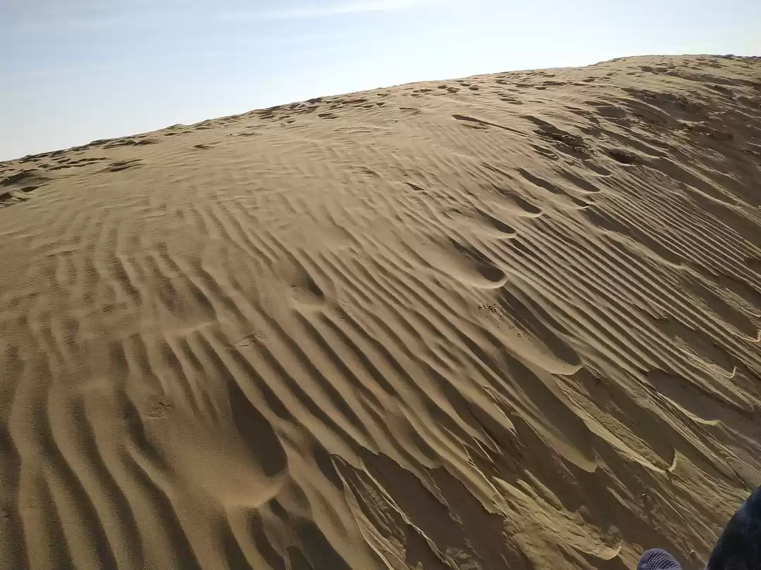 Photo of Thar: The Great Indi