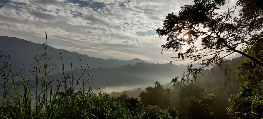 Photo of Kottappara hillstati