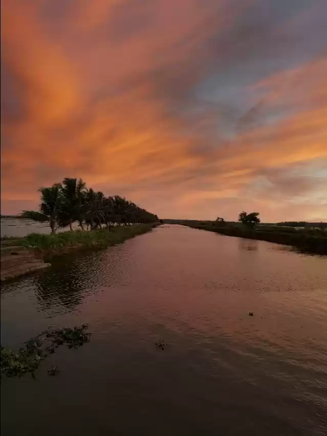 Photo of Nature beauty of thr
