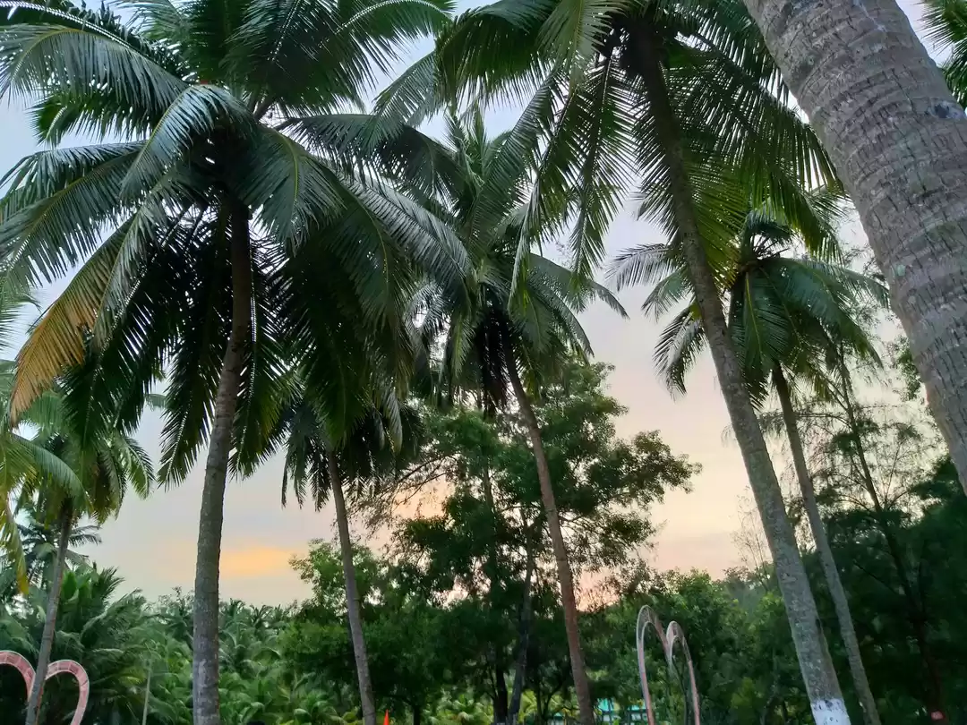 Photo of CELLULAR JAIL-THE KA