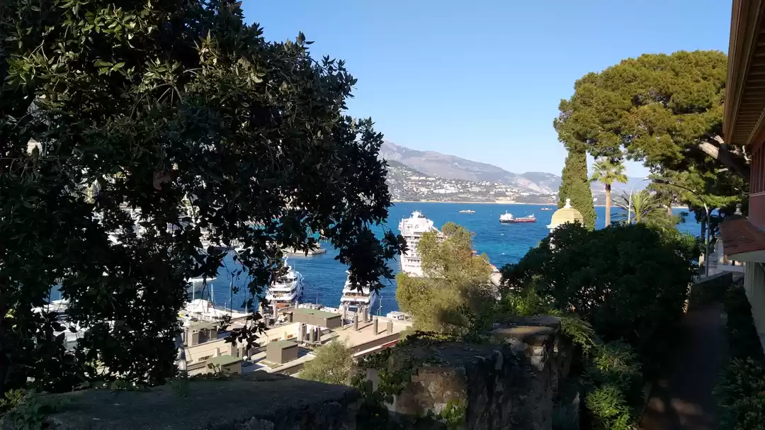Photo of Monaco Visit in a D