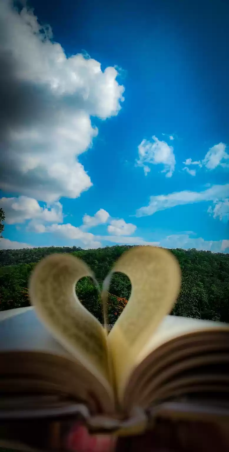 Photo of beautiful dang 2020