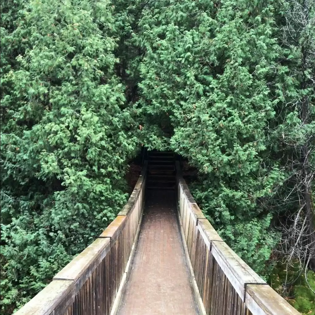 Photo of Nabeela Raheem