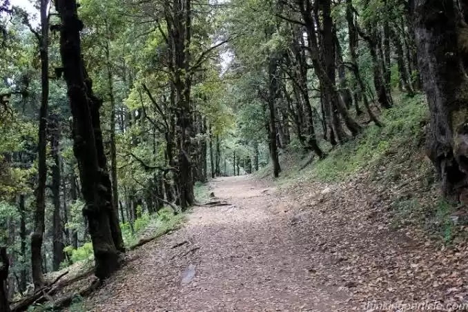 Photo of One mile at a time: 