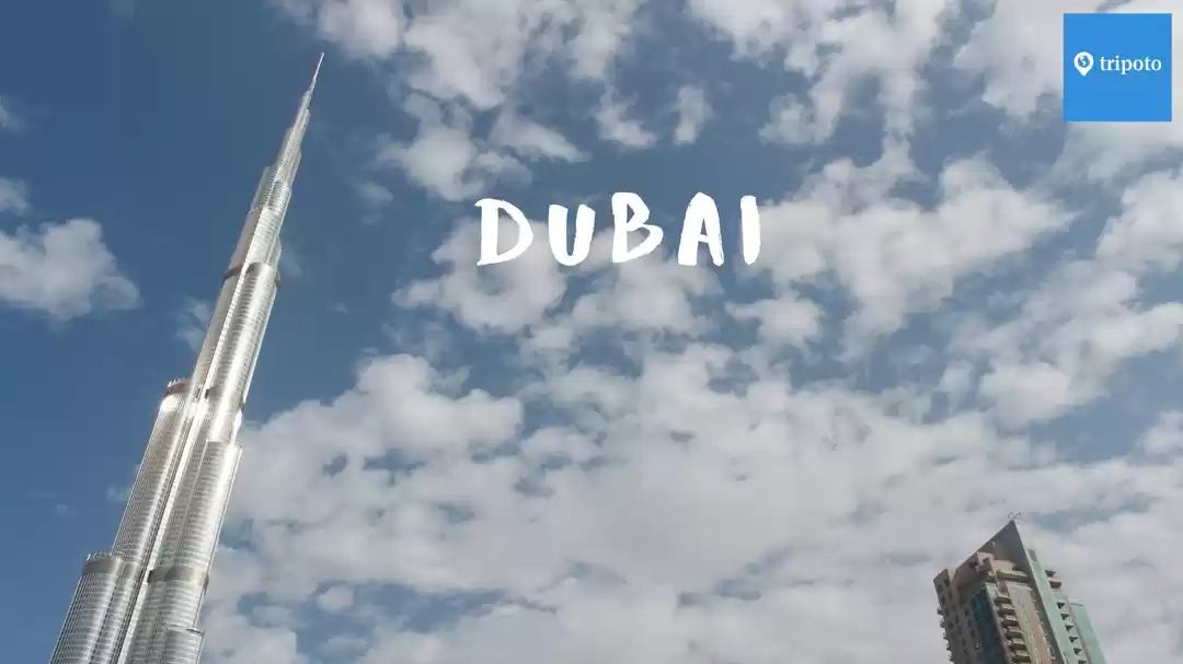 Photo of Dubai Tour Package F