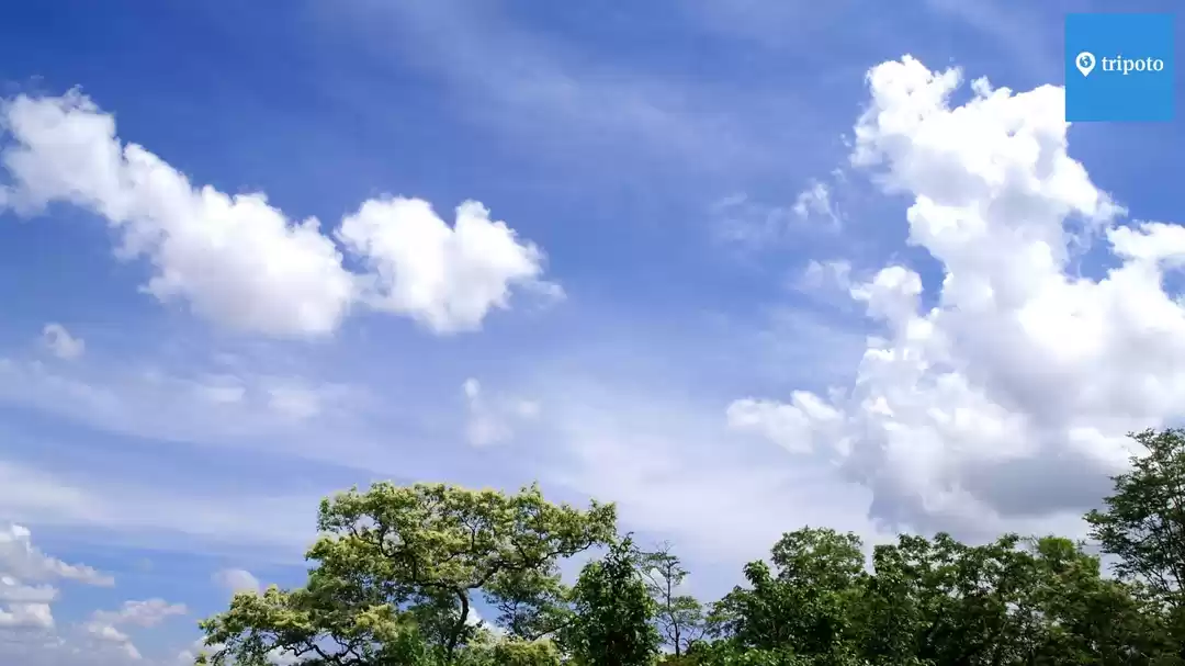 Photo of Book Yourself A Thai