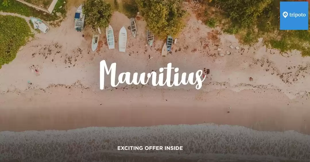 Photo of Plan Your First Coup