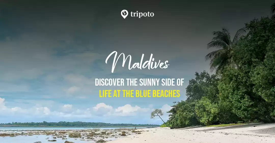 Photo of Maldives Tourism Pac