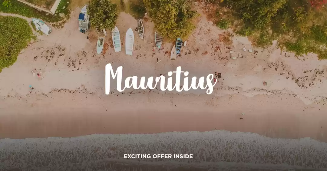 Photo of All You Need to Know