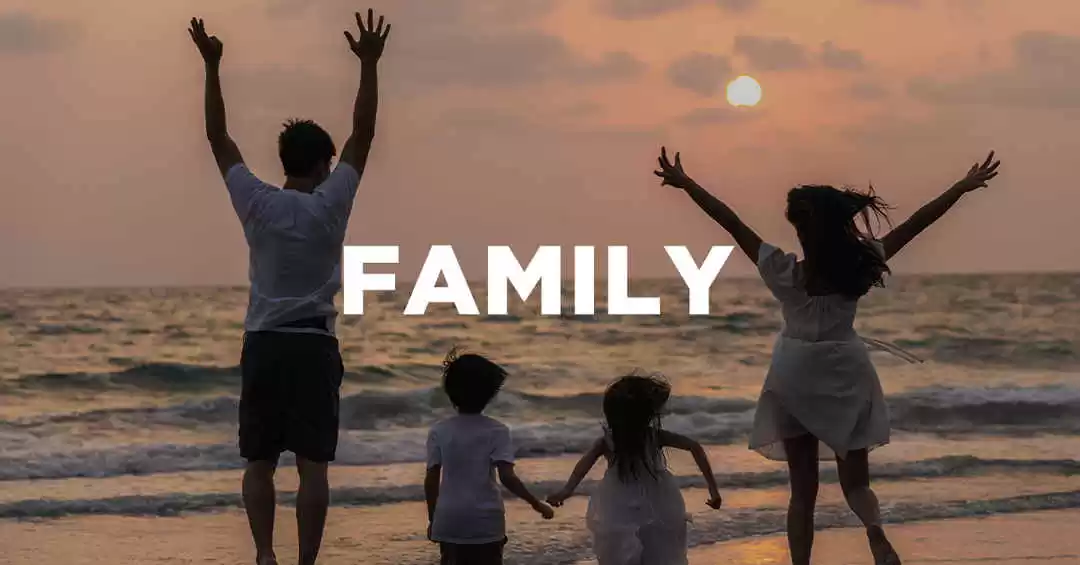 Photo of What is The Best Dub