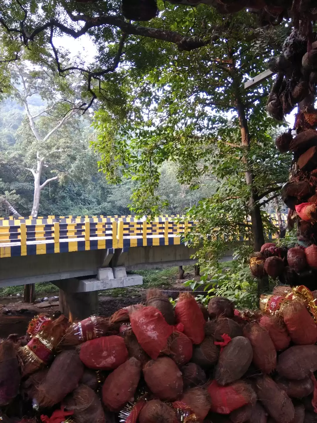 Photo of Galudih :Semester en