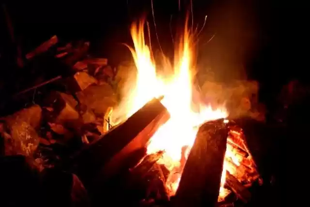 Photo of Five summer One-Day 