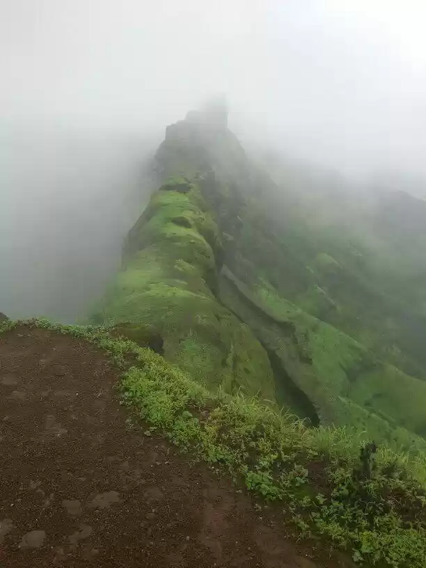 Photo of Raj Gad : King of fo