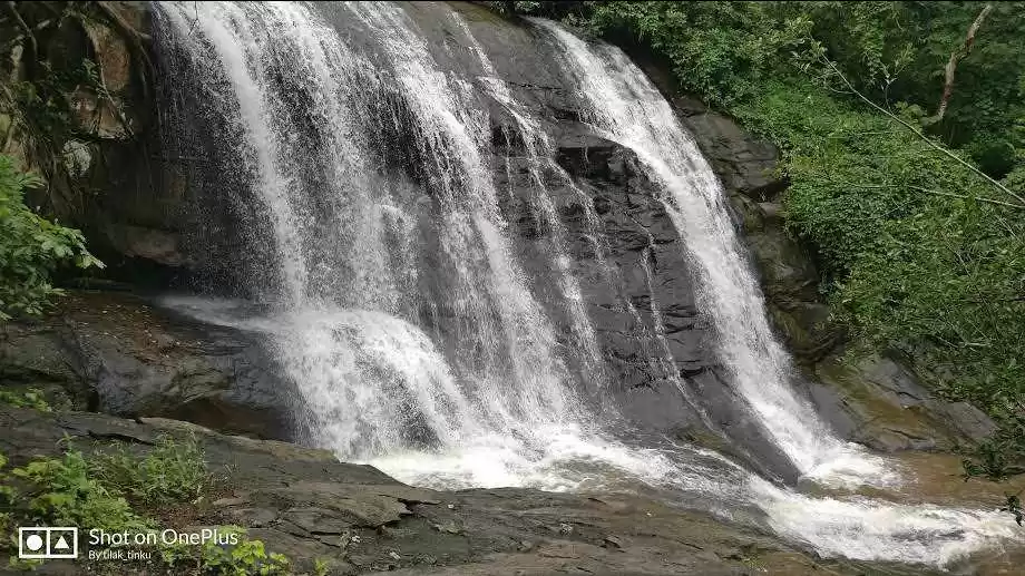 Photo of Perfect trip for a p