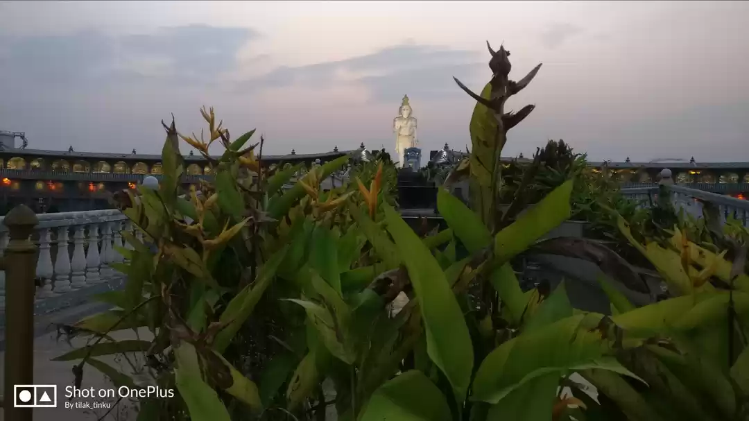 Photo of halt and avoid city 