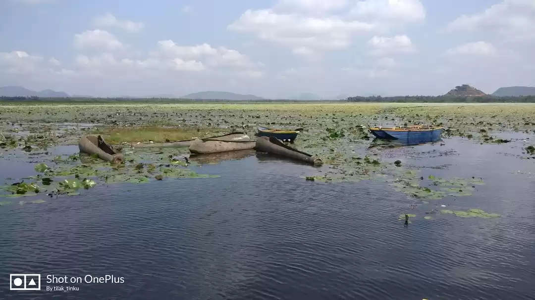 Photo of TASK DONE IN MY #WIS