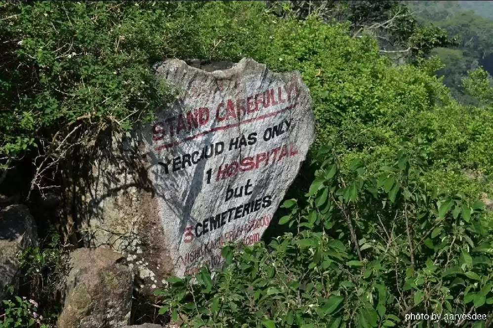 Photo of Lady's Seat at Yerca