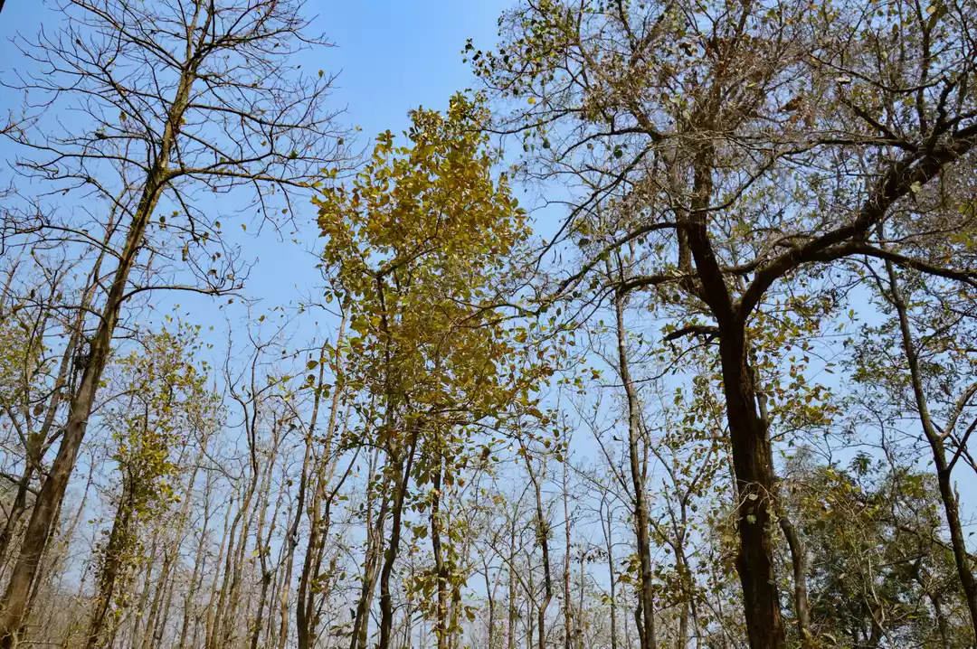 Photo of Breathing the thin a