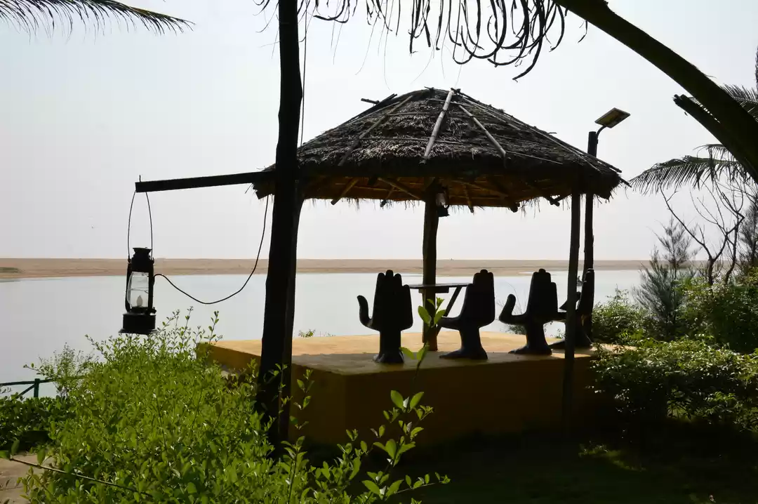 Photo of A Day at the "Lotus