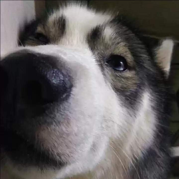 Photo of Travel with rish