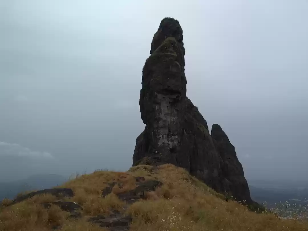 Photo of Just pack your bags 