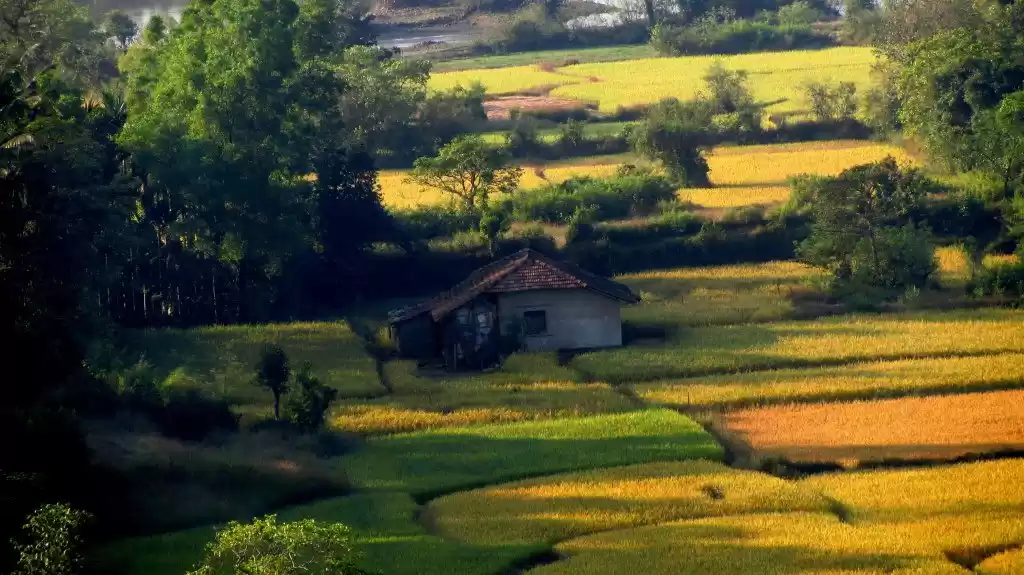 Photo of Kodachadri – 30 kilo