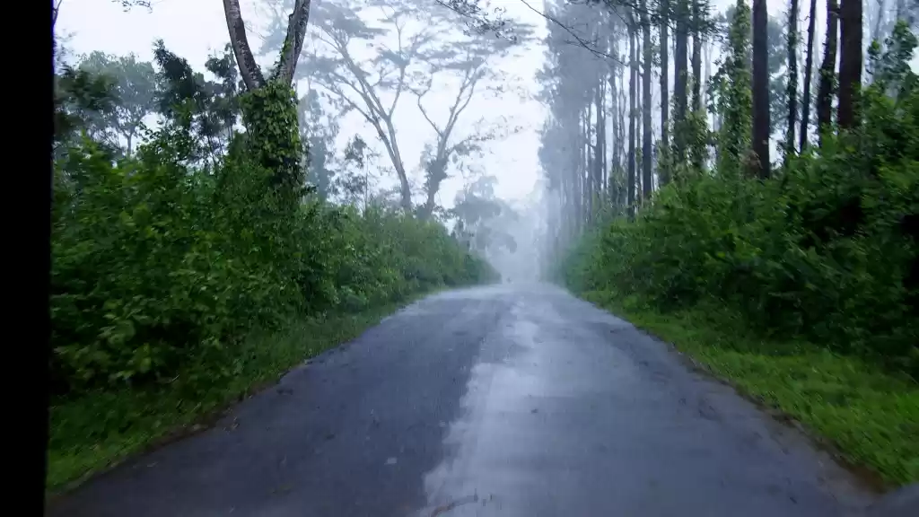 Photo of Through the mystic r