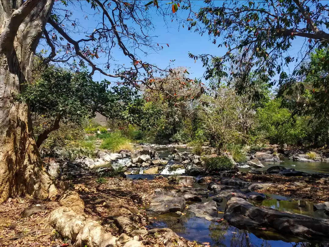 Photo of Young Dumb & Broke