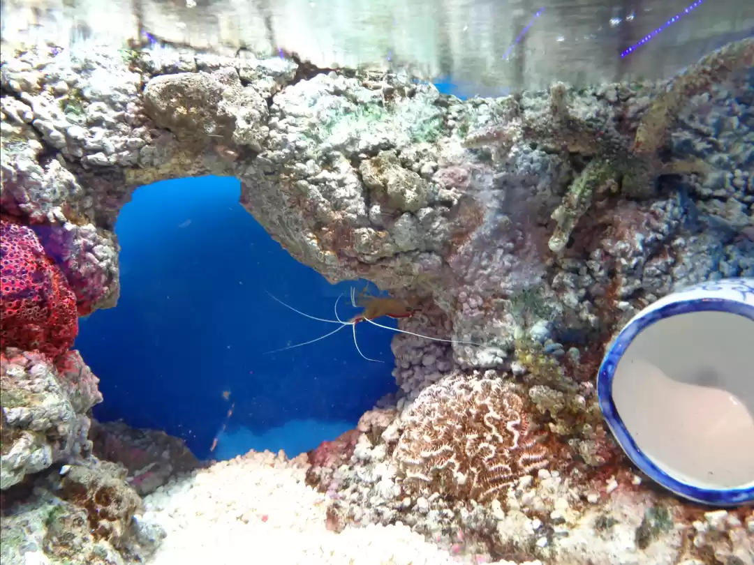 Photo of KLCC Aquaria,Malaysi