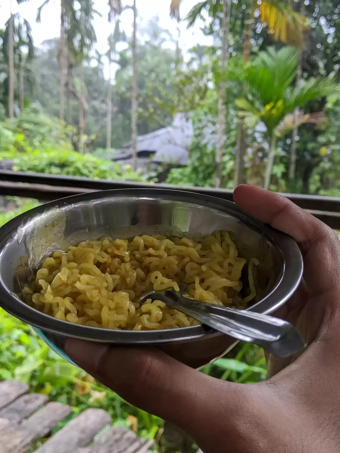 Photo of Double Decker Root B