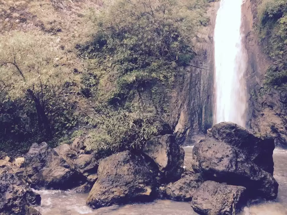 Photo of Morning In Paradise