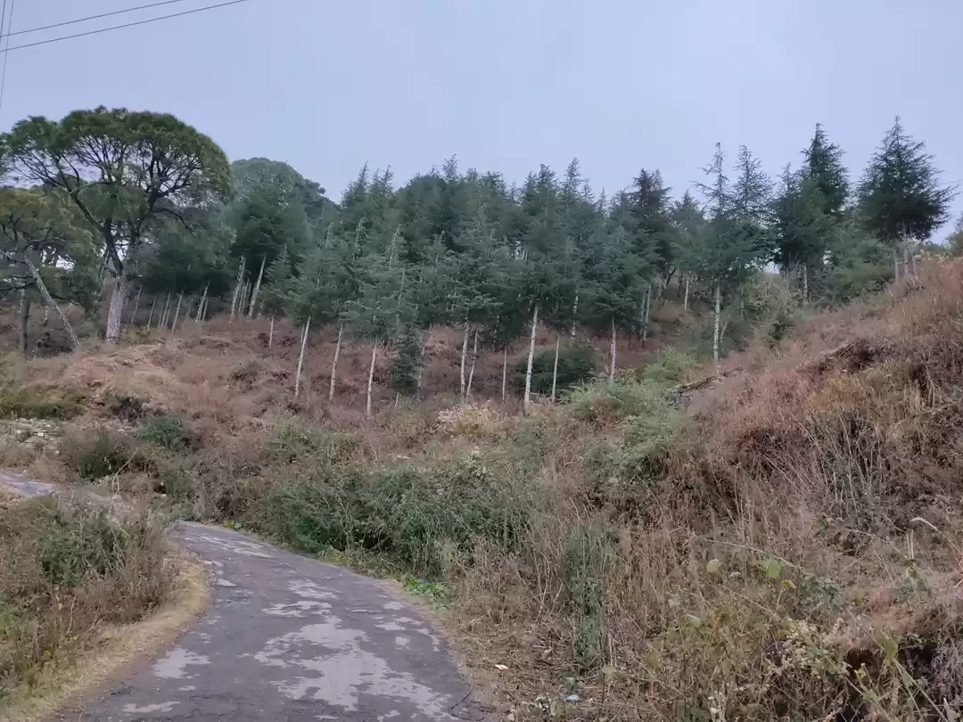 Photo of Himachal Diaries -