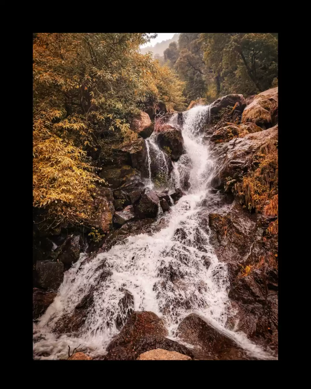 Photo of Churdhar trek in les