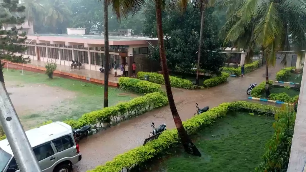 Photo of Popular agriculture 