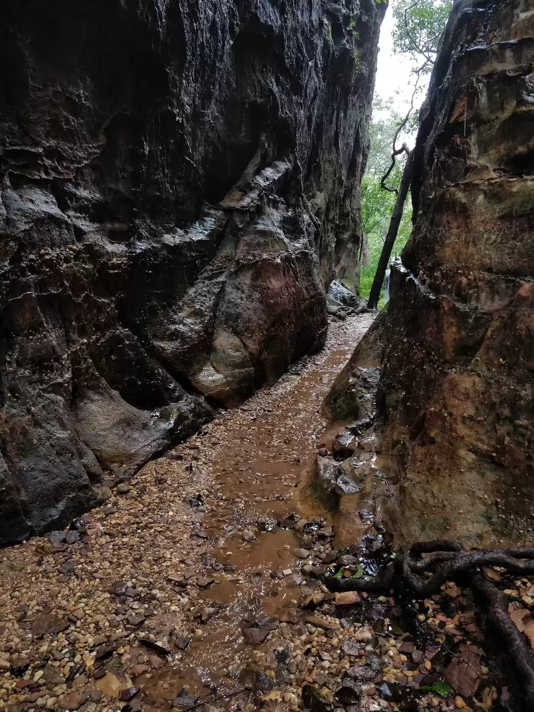 Photo of U just need to kick 