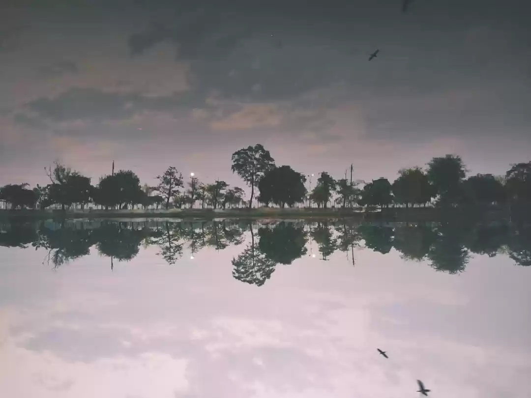 Photo of Shahpura lake , madh