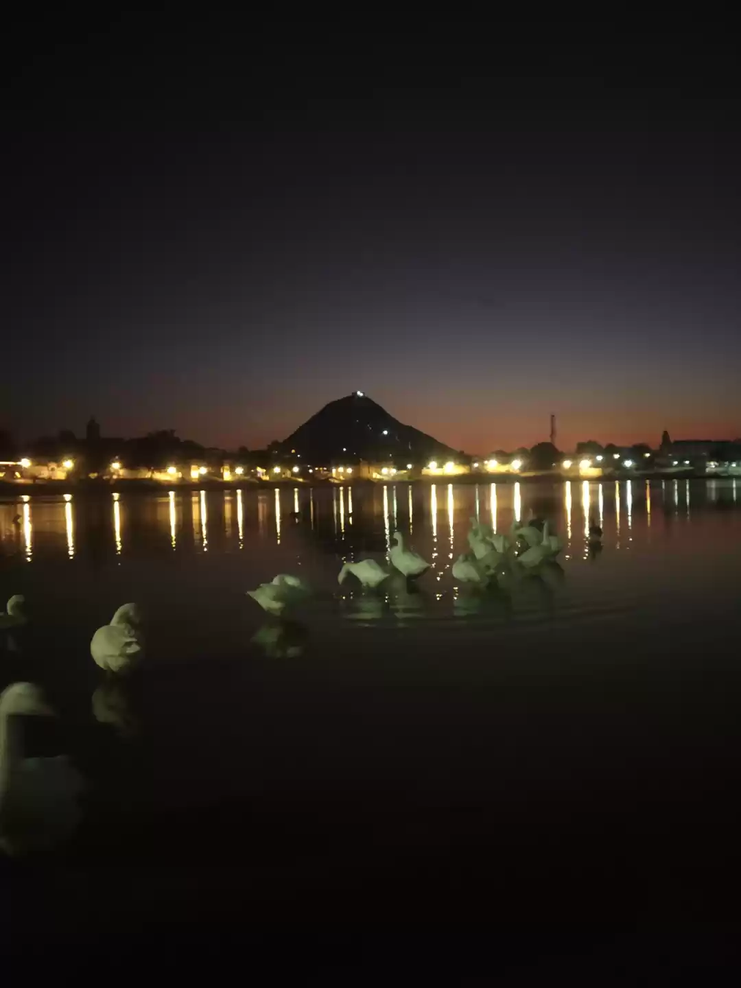 Photo of Pushkar guide 101