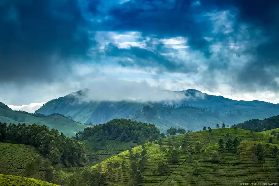 Photo of Munnar - The Gateway