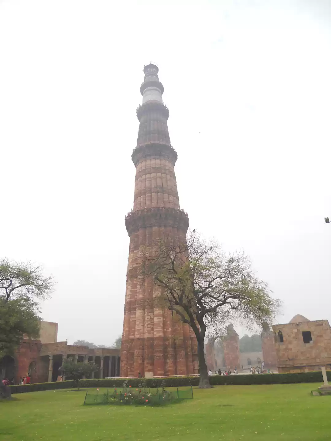 Photo of Amazing trip to Delh