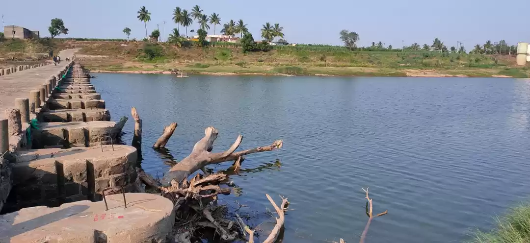 Photo of Kadamwadi : morning 