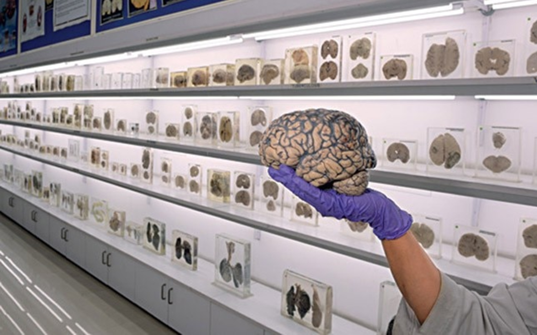 Photo of सिर्फ इतिहास ही नहीं