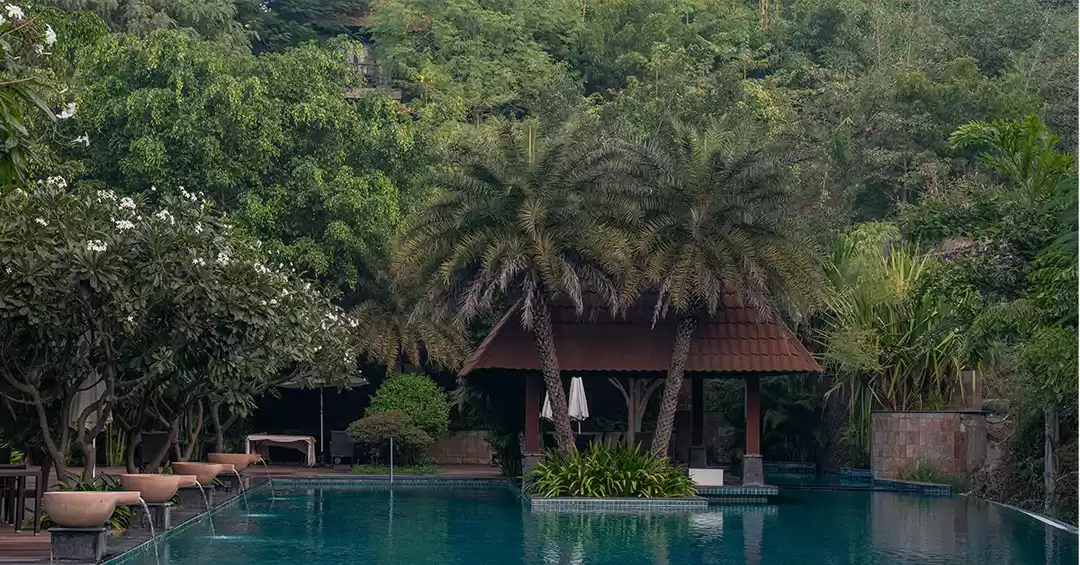 Photo of फेस्टिवल्स के इस मौस