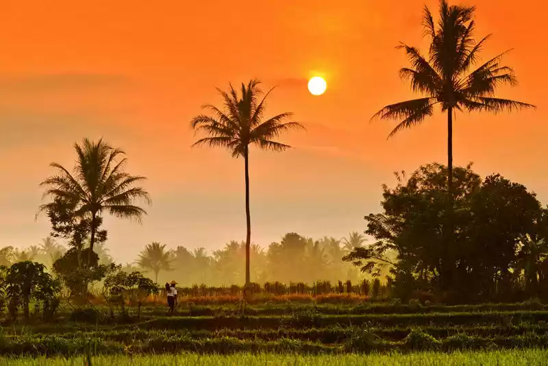 Photo of भांगड़ा की मस्ती और