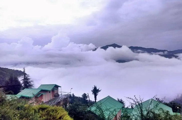 Photo of मशोबरा: कुल्लू मनाली