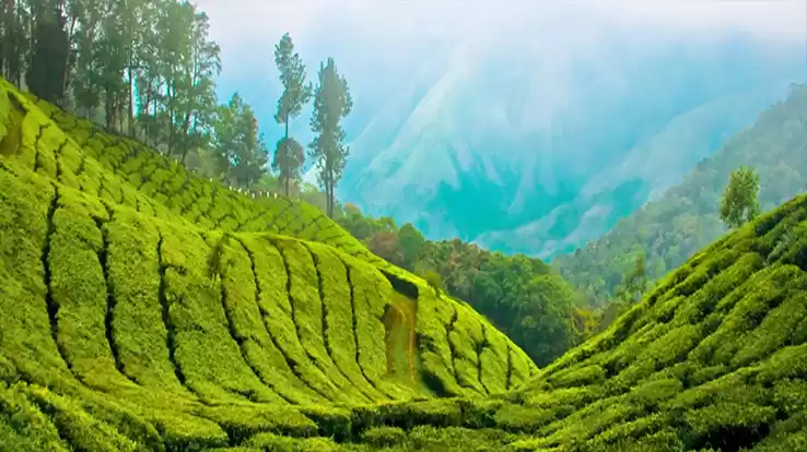 Photo of झारखंड की इन जगहों प