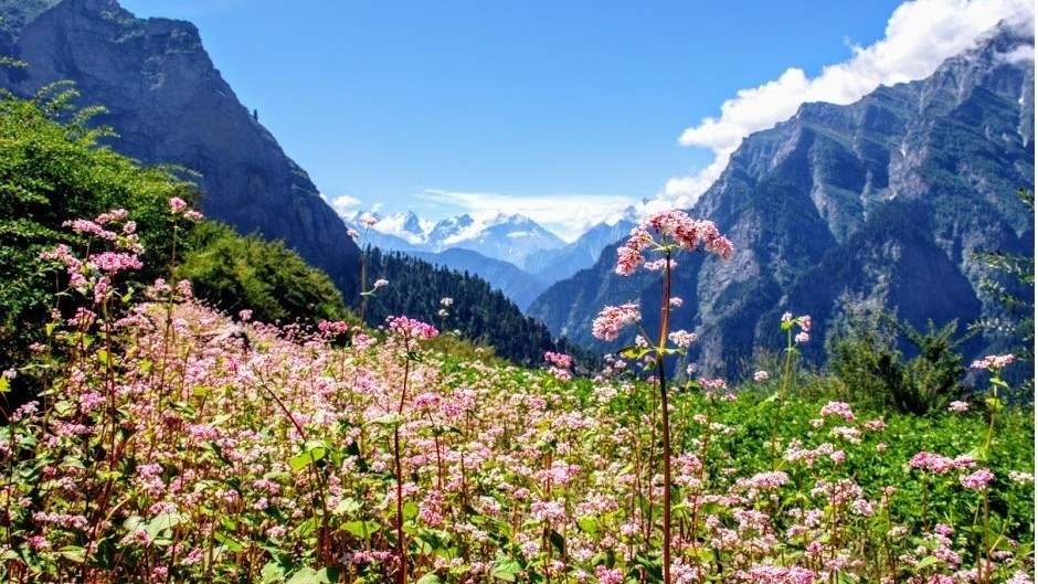 Photo of पांगी घाटी: हिमाचल प