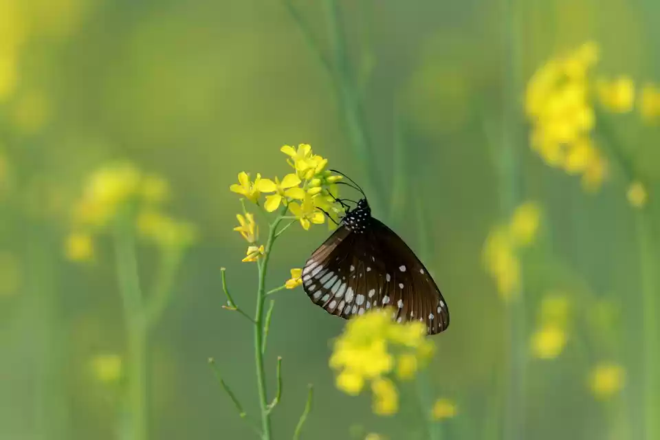Photo of भारत की सबसे खूबसूरत